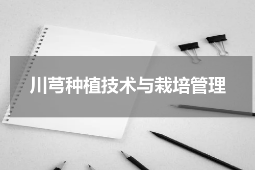 川芎种植技术与栽培管理