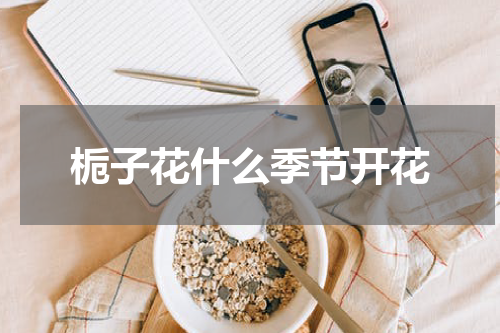 栀子花什么季节开花