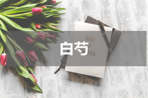 白芍