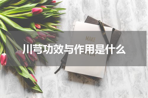 川芎功效与作用是什么