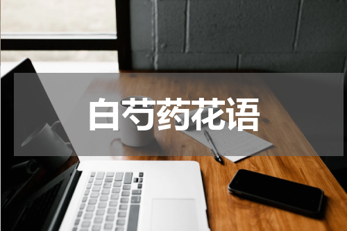 白芍药花语