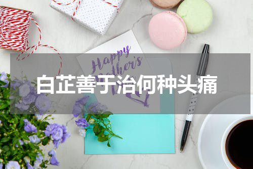 白芷善于治何种头痛