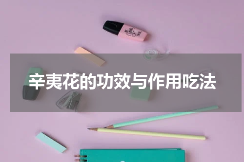 辛夷花的功效与作用吃法