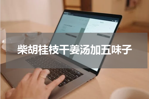 柴胡桂枝干姜汤加五味子
