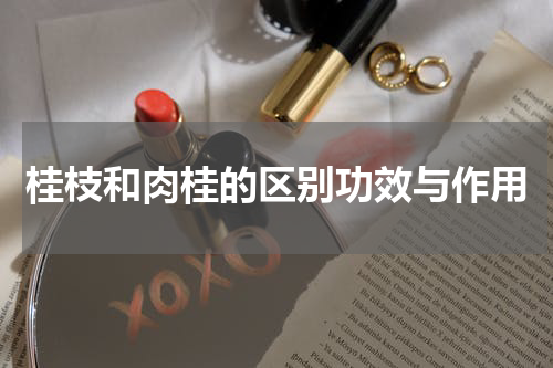 桂枝和肉桂的区别功效与作用