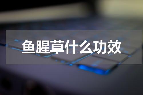 鱼腥草什么功效