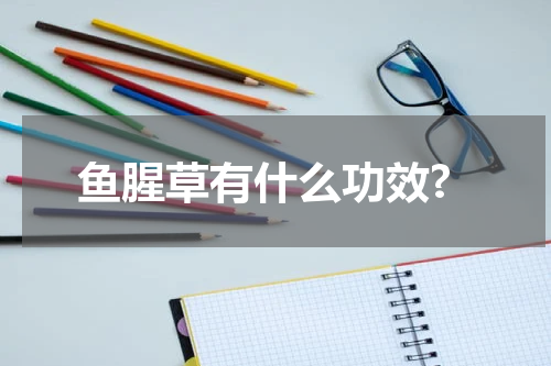 鱼腥草有什么功效?