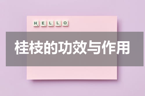 桂枝的功效与作用