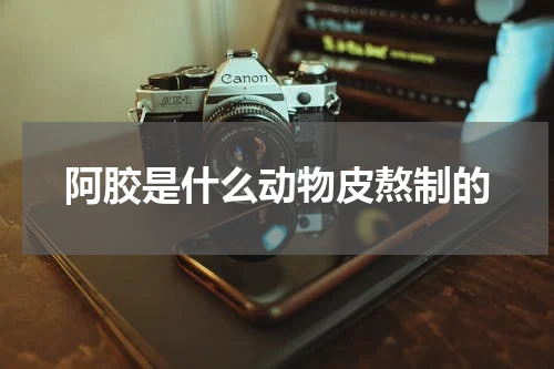阿胶是什么动物皮熬制的