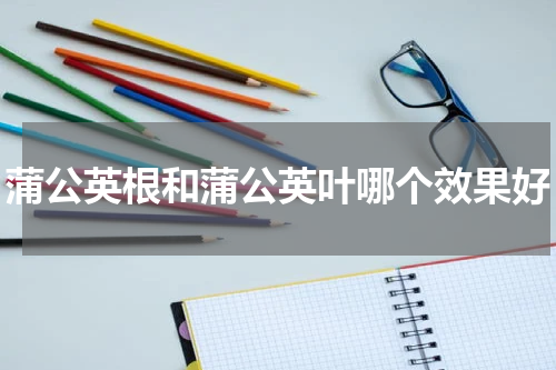 蒲公英根和蒲公英叶哪个效果好