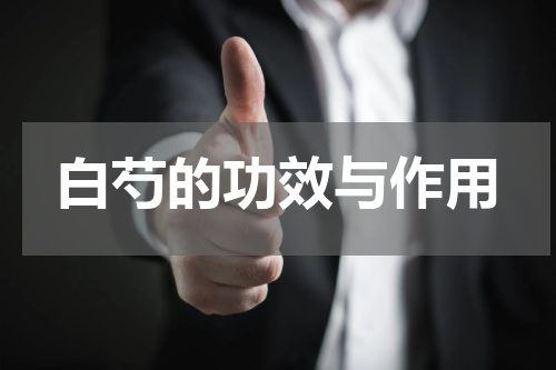 白芍的功效与作用