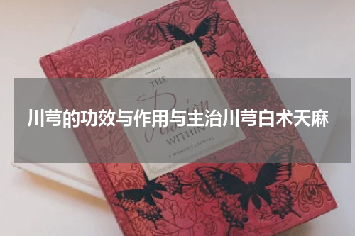 川芎的功效与作用与主治川芎白术天麻