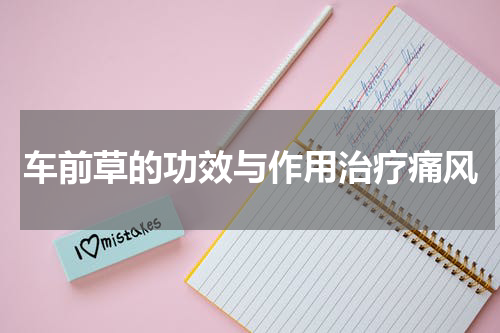 车前草的功效与作用治疗痛风