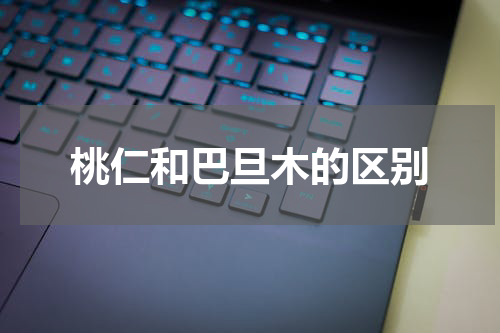 桃仁和巴旦木的区别