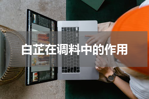 白芷在调料中的作用