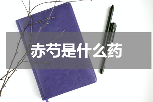 赤芍是什么药