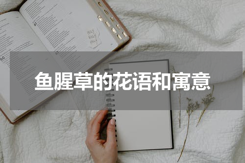 鱼腥草的花语和寓意