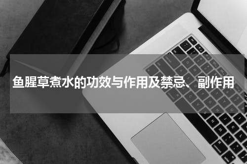 鱼腥草煮水的功效与作用及禁忌、副作用