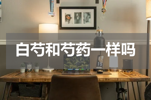 白芍和芍药一样吗