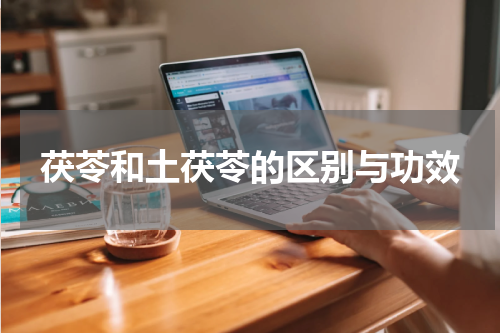 茯苓和土茯苓的区别与功效