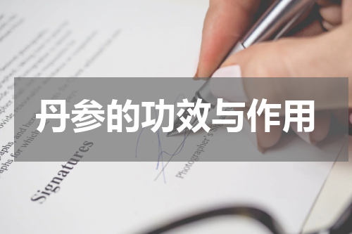 丹参的功效与作用