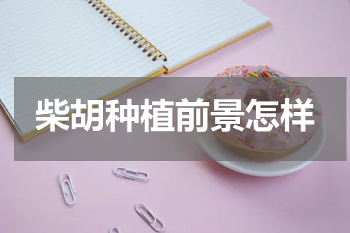 柴胡种植前景怎样