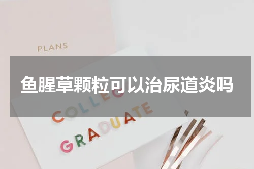 鱼腥草颗粒可以治尿道炎吗