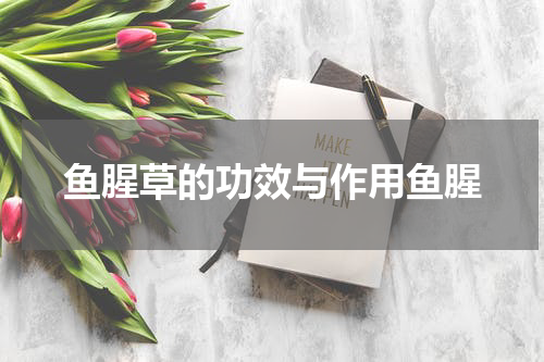 鱼腥草的功效与作用鱼腥
