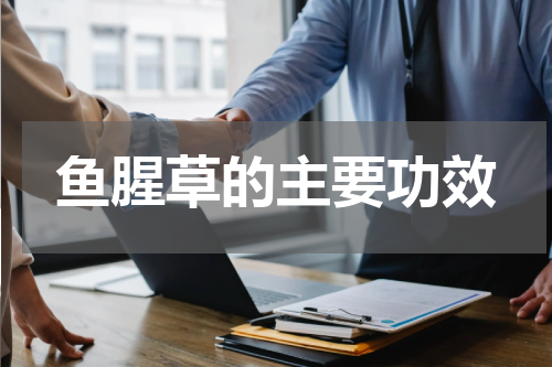 鱼腥草的主要功效