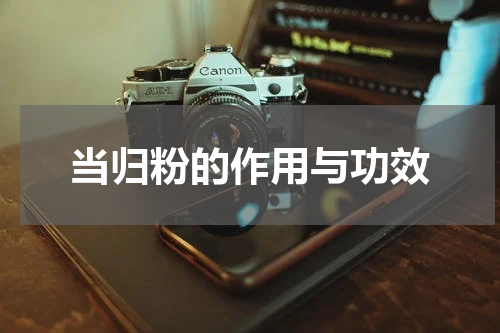 当归粉的作用与功效