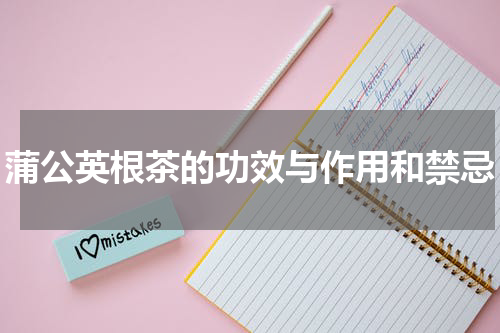 蒲公英根茶的功效与作用和禁忌