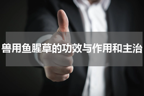 兽用鱼腥草的功效与作用和主治