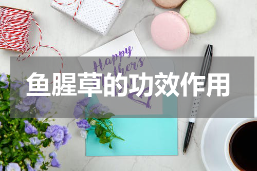 鱼腥草的功效作用