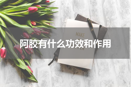 阿胶有什么功效和作用
