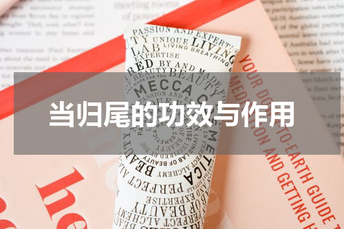 当归尾的功效与作用
