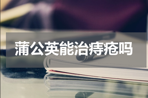 蒲公英能治痔疮吗