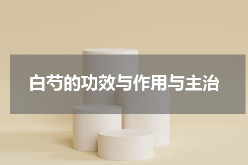 白芍的功效与作用与主治