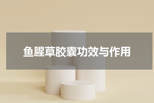 鱼腥草胶囊功效与作用