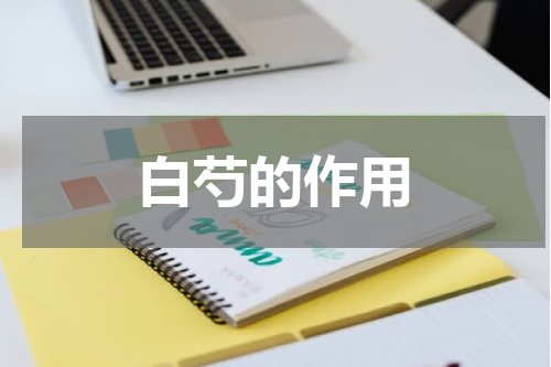 白芍的作用