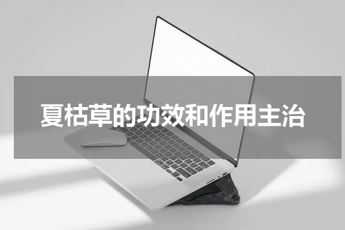 夏枯草的功效和作用主治