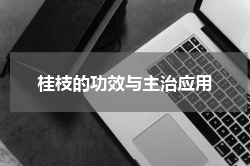 桂枝的功效与主治应用
