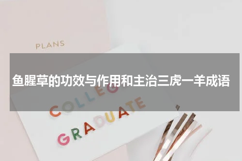 鱼腥草的功效与作用和主治三虎一羊成语