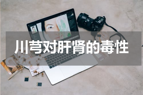 川芎对肝肾的毒性