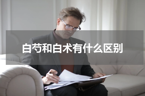 白芍和白术有什么区别