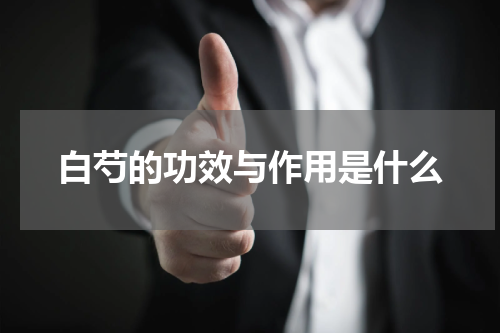 白芍的功效与作用是什么