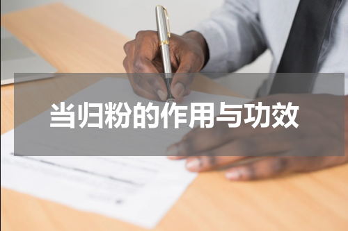 当归粉的作用与功效