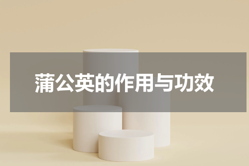 蒲公英的作用与功效