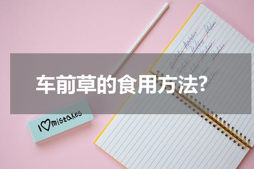 车前草的食用方法?