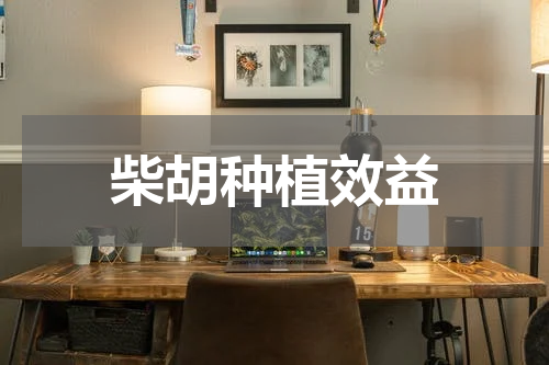 柴胡种植效益
