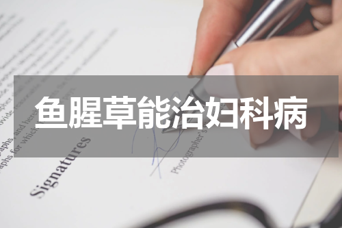 鱼腥草能治妇科病